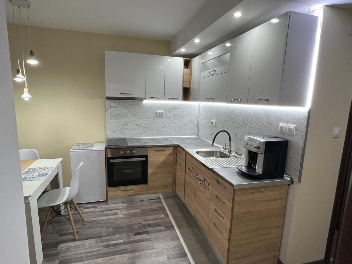 Аpartment B201 Grand Bansko 1アパートメント エクステリア 写真